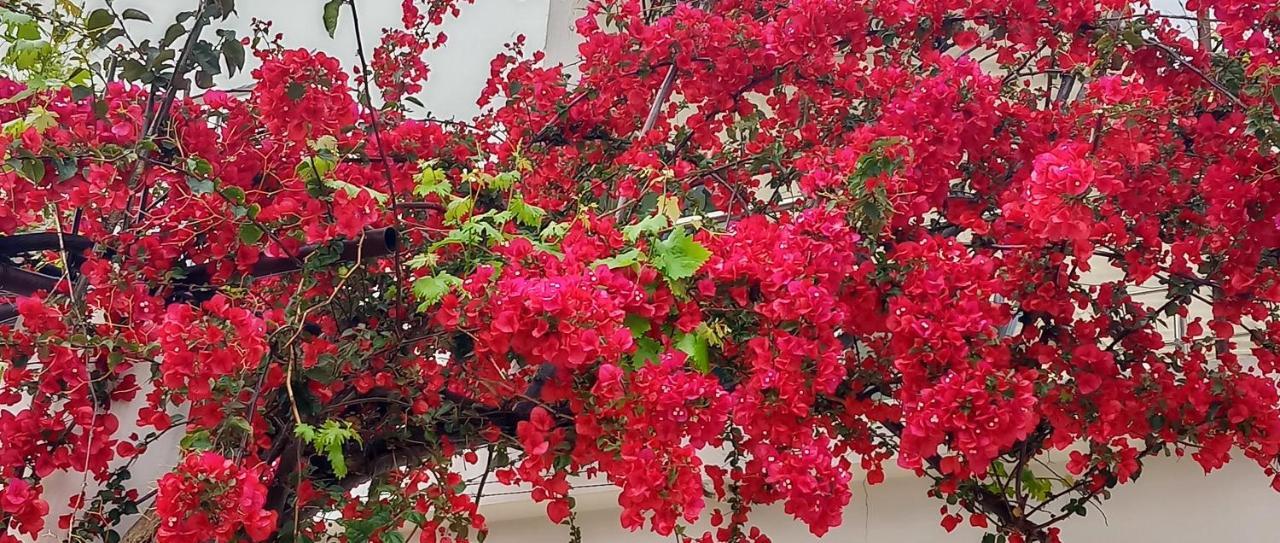 Stamatias Home, Fully Equipped Cottage 5 Minutes From The Sea Chania  Zewnętrze zdjęcie